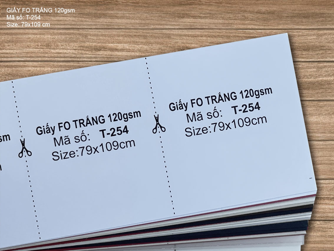 Giấy FO TRẮNG 120gsm (T-254)