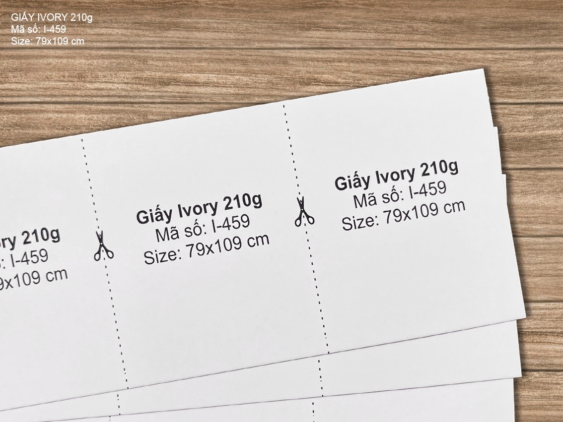  Giấy Ivory 210g (I-459) 