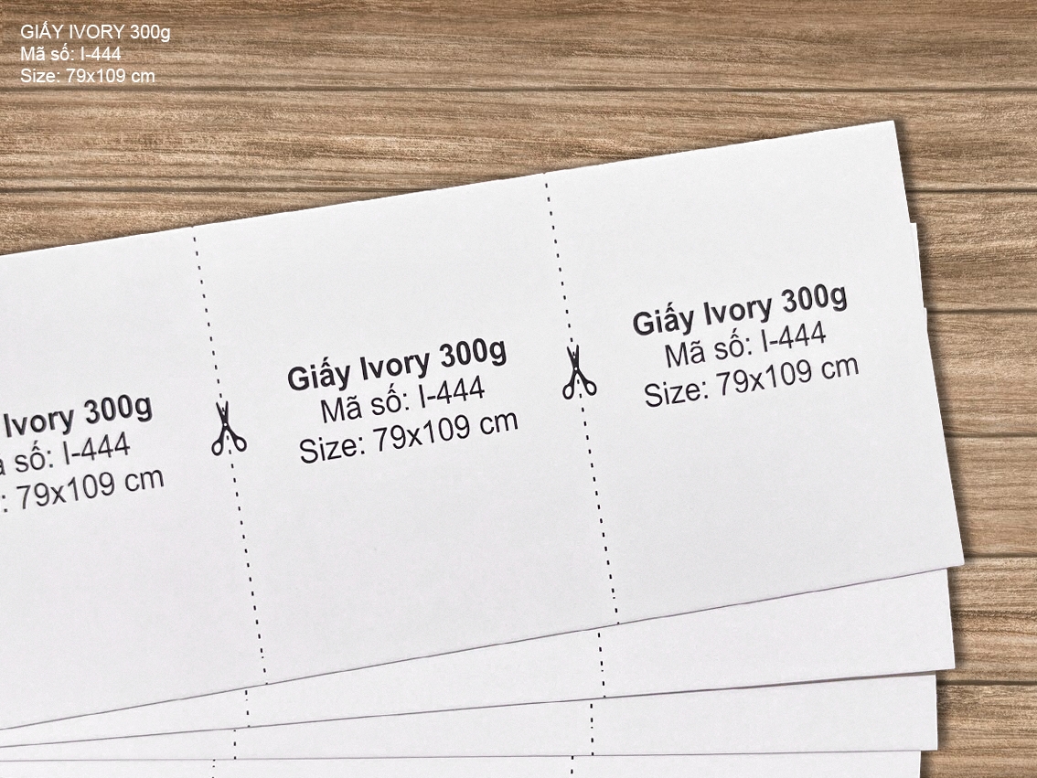 Giấy Ivory 300g (I-444)