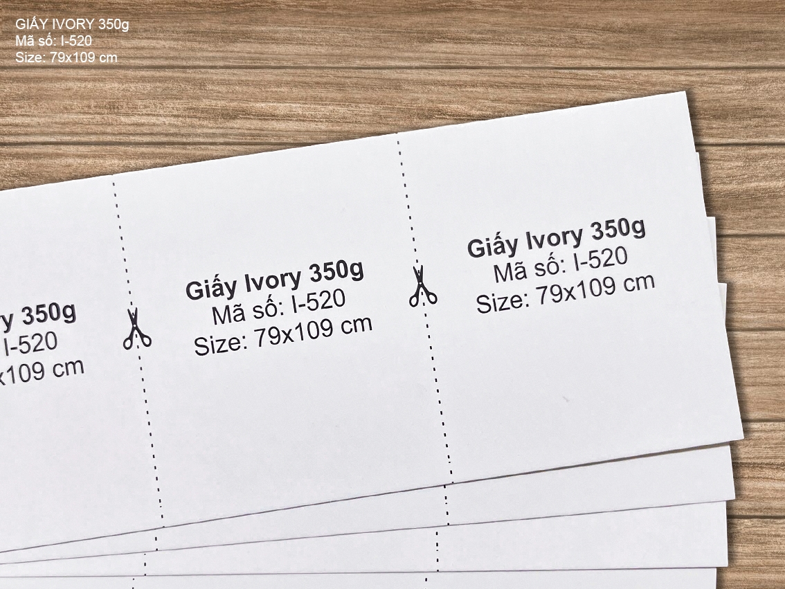 Giấy Ivory 350g (I-520)