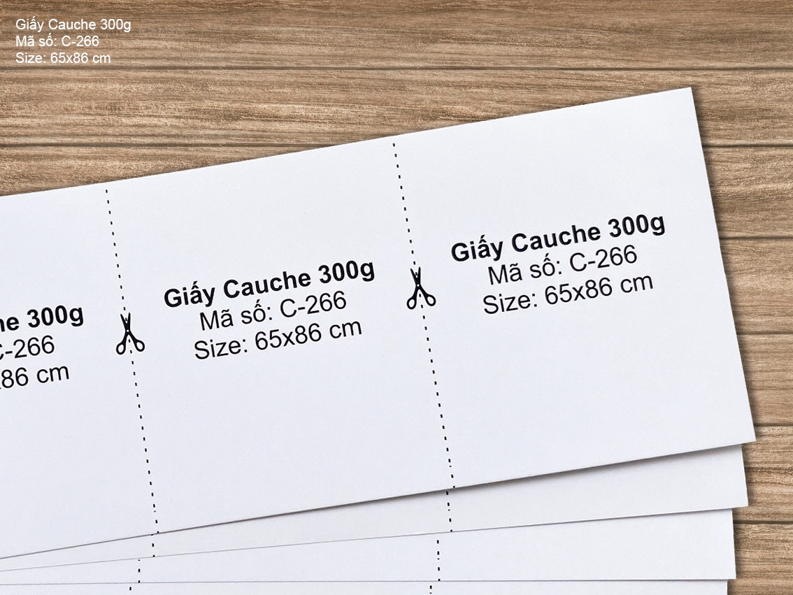 Giấy Cauche 300g (C-266)