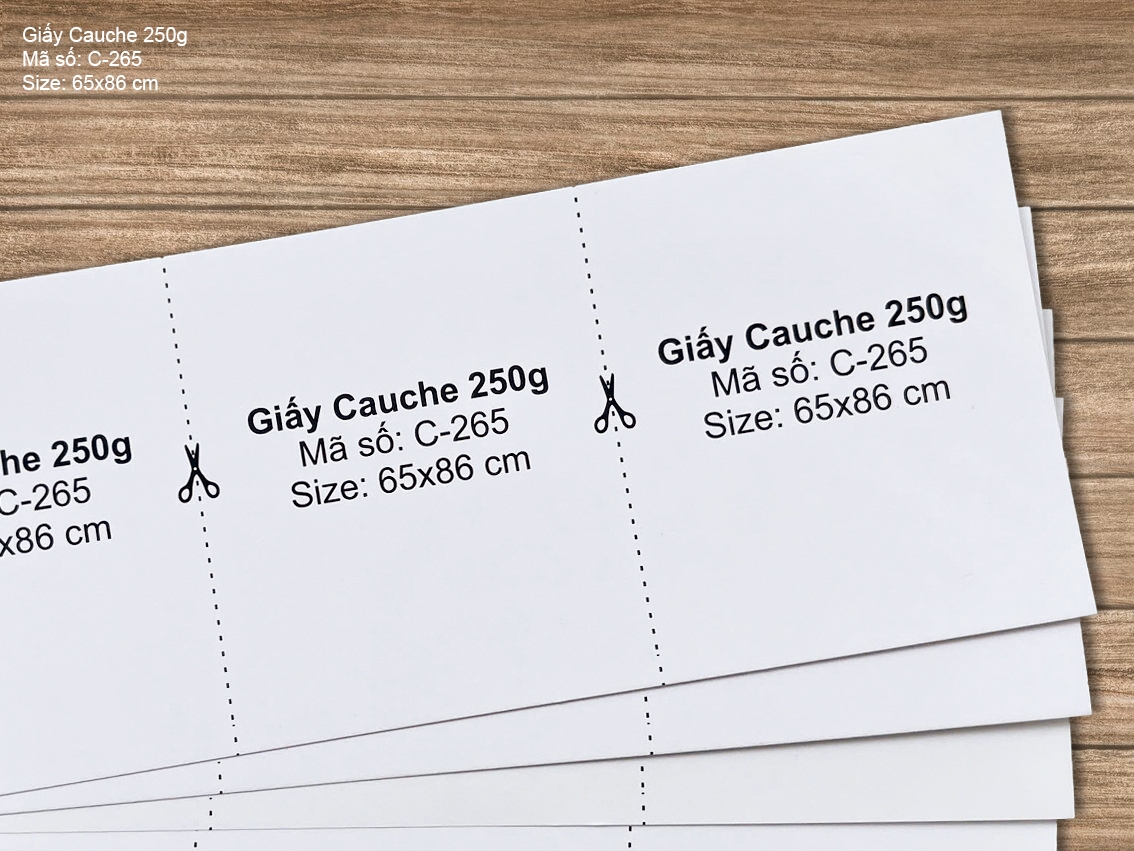 Giấy Cauche 250g (C-265)