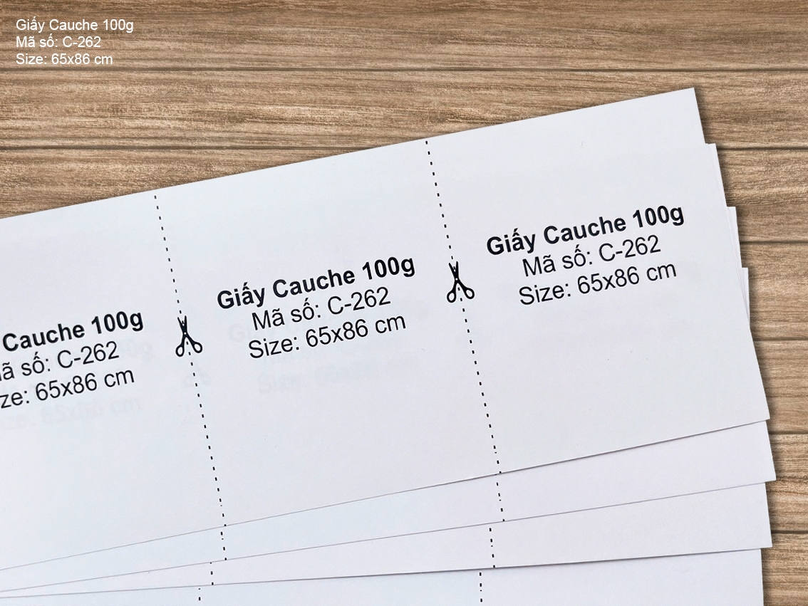 Giấy Cauche 100g (C-262) 