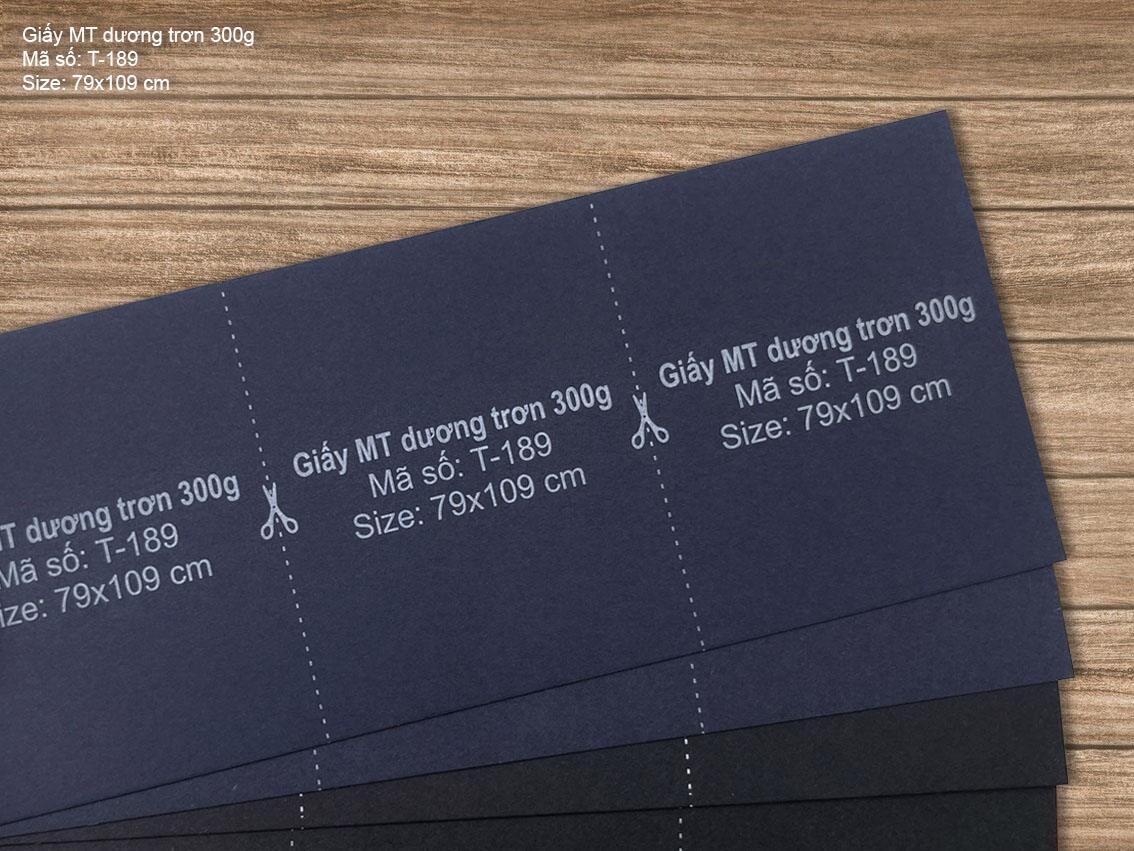 Giấy MT dương trơn 300g (T-189) 