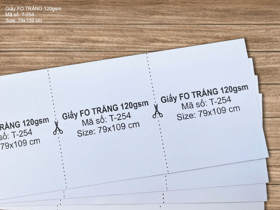 Giấy FO TRẮNG 120gsm (T-254) 