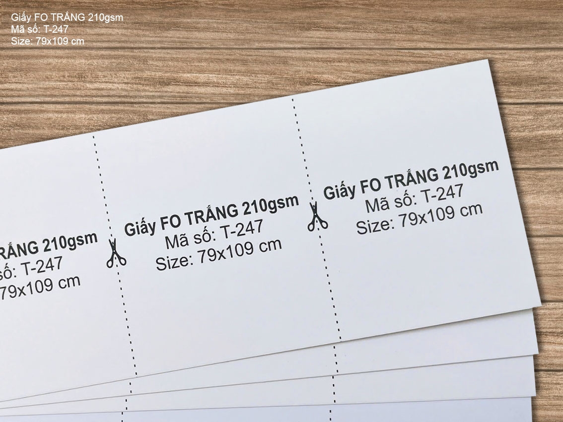 Giấy FO TRẮNG 210gsm (T-247)