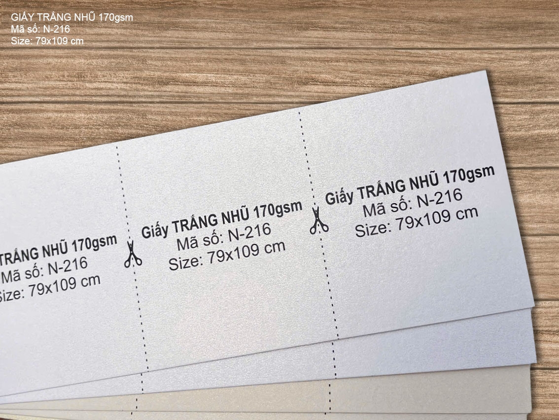 Giấy TRẮNG NHŨ 170gsm (N-216)